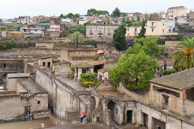 Archeological Herculaneum Private & Personalized Guided Tour - Explore Herculaneum’s Ancient Ruins with a Private Guide