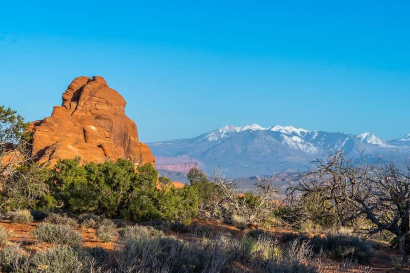 Arches National Park Half Day Tour - Comparing This Tour to Other Options