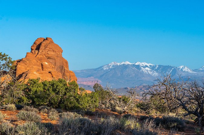 Arches National Park Half Day Tour - The Sum Up: A Practical and Memorable Visit to Arches