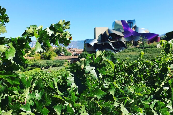 Architectural Rioja Small Group Wine Tour with Lunch from Bilbao - The Experience of the Guides and Overall Atmosphere