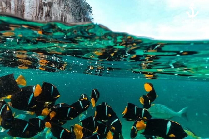 Arcos Animas and Quimixto - Practical Details: Meeting Point, Duration, and Group Size