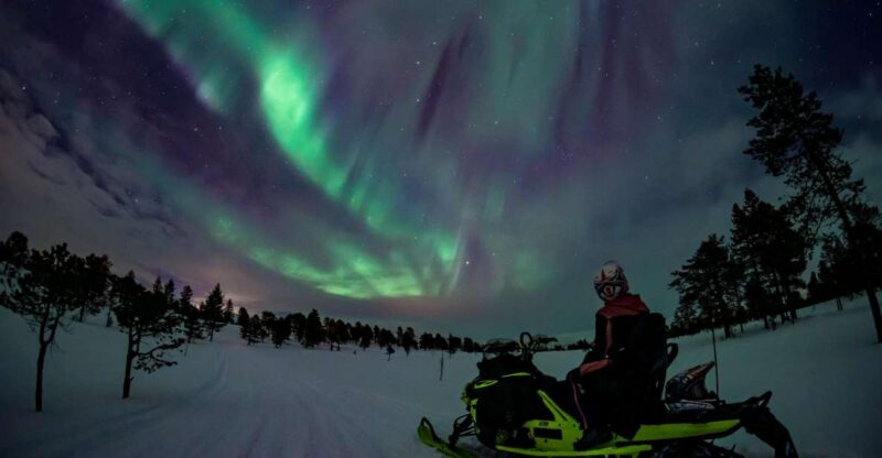 Arctic Adventure: Northern Lights Hunting with Snowmobiles - A Thrilling 3-Hour Snowmobile Safari in Nordland for Northern Lights Hunting