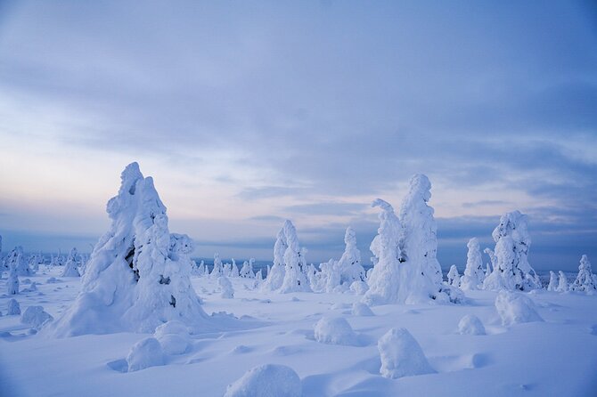 Arctic Adventure through Magical Frozen Forests of Riisitunturi - Explore the Frozen Forests of Riisitunturi on an Arctic Adventure