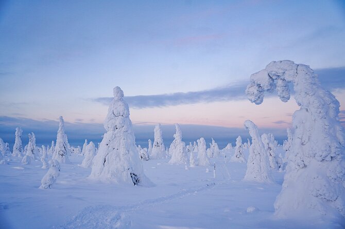 Arctic Adventure through Magical Frozen Forests of Riisitunturi - Warmth and Finnish Hospitality at the Campfire