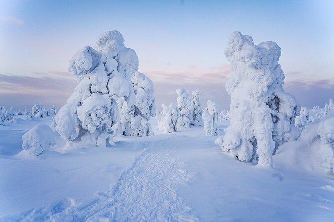 Arctic Adventure through Magical Frozen Forests of Riisitunturi - Suitable for Nature Lovers and Photography Enthusiasts