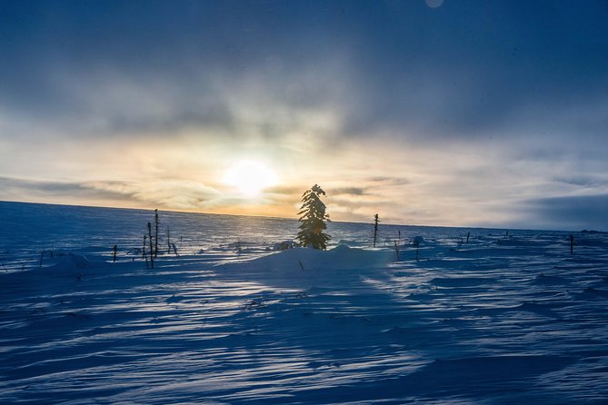 Arctic Circle Aurora Drive Adventure - Yukon River Camp and Its Role in the Tour