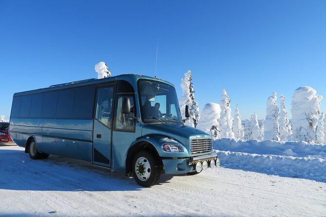 Arctic Circle Aurora Drive Adventure - Viewing the Northern Lights: A Remote Opportunity