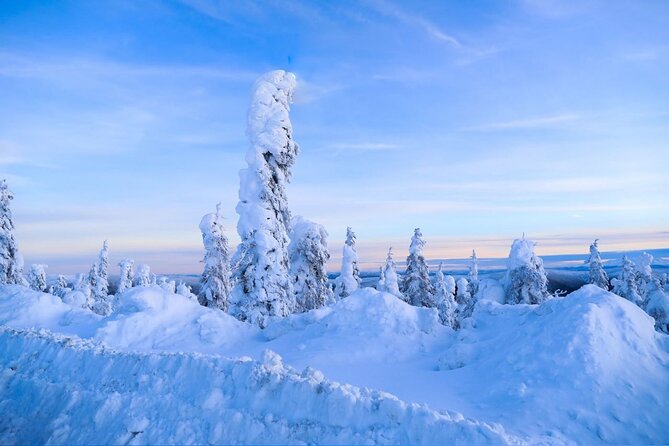 Arctic Circle Day Tour Adventure - Discover the Arctic Circle Day Tour from Fairbanks for $299