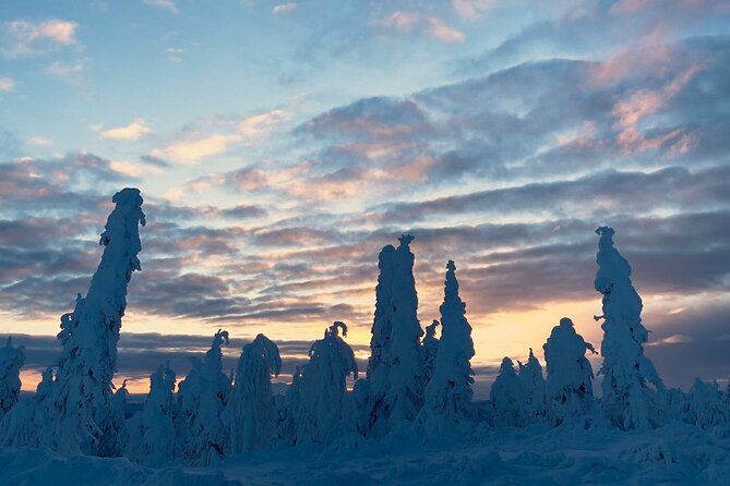 Arctic Circle Day Tour Adventure - Key Points