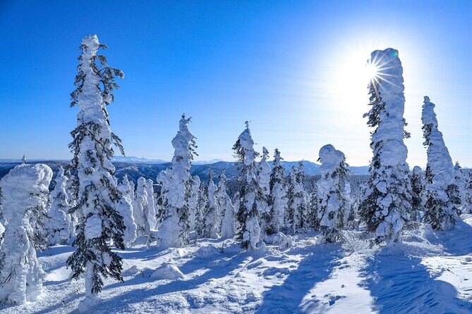 Arctic Circle Day Tour Adventure - Logistics: Meeting, Timing, and Accessibility