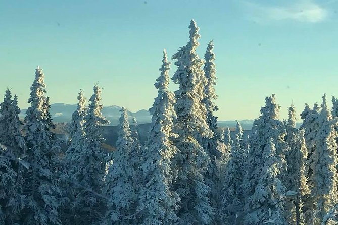 Arctic Circle Day Trip from Fairbanks with Transportation - Weather and Cancellation Policies