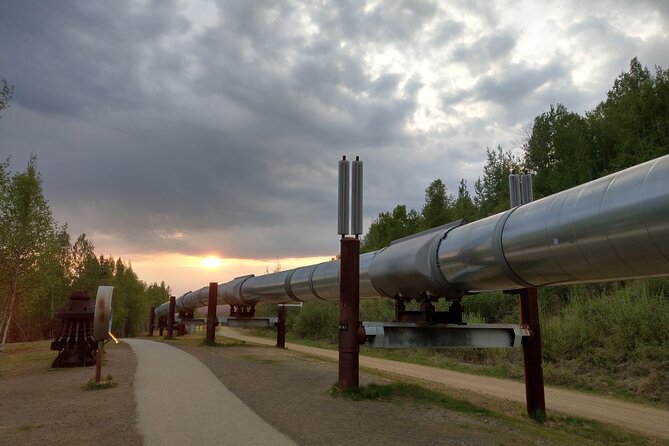 Arctic Circle Full-Day Adventure from Fairbanks - Key Points