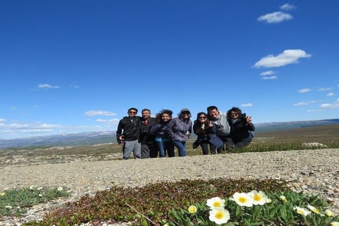 Arctic Circle Full-Day Adventure from Fairbanks - Visiting the Trans-Alaska Pipeline