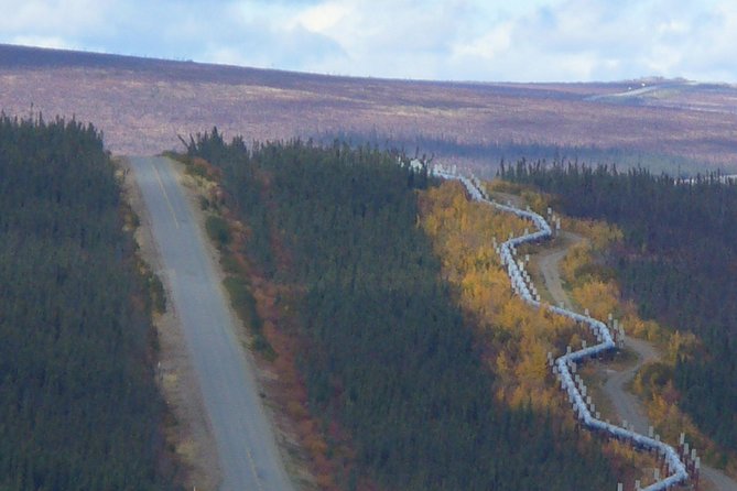 Arctic Circle Full-Day Adventure from Fairbanks - Comfortable Transportation and Experienced Guides