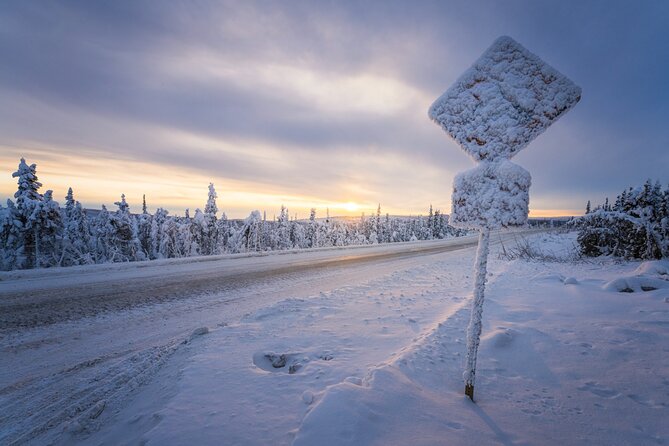 Arctic Circle Winter Drive Adventure - Northern Lights Opportunities