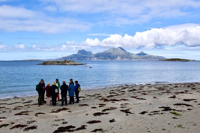 Arctic Coastal Walk - Bodø’s Arctic Coastline: Starting Point at Stella Polaris