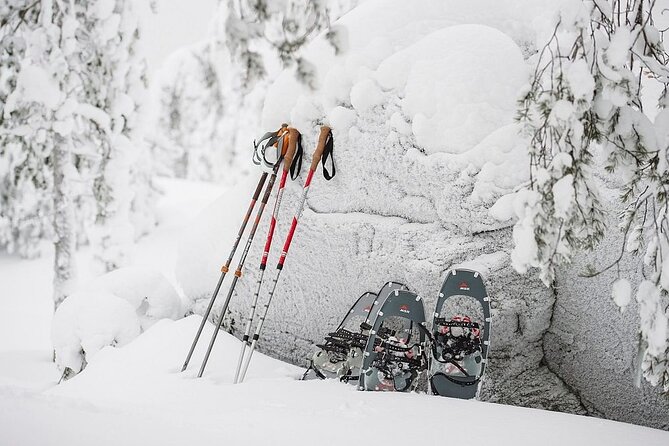 Arctic Day with Ice Fishing and Floating - Seasonal Timing and Considerations