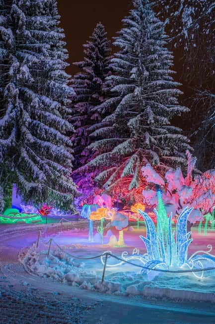 Arctic Fantasy Park Entry Ticket - Santa Claus Visits and Private Meetings