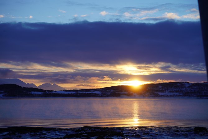 Arctic fjord and Landscape Tour - Comfort and Refreshments
