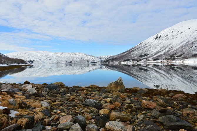 Arctic fjord and Landscape Tour - Guided Experience with Local Experts