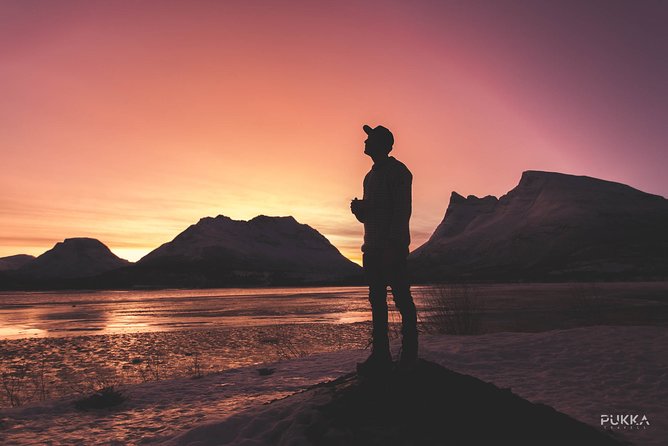 Arctic Fjord Sightseeing by Minibus - Pacing, Group Size, and Personalization