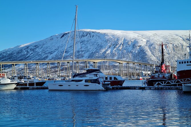 Arctic Fjordcruise & Safari in Tromso with Luxury Catamaran - Food, Drinks, and Onboard Comforts