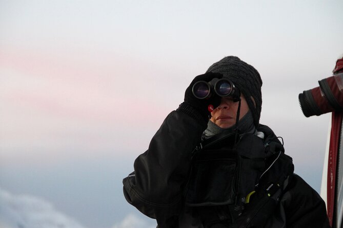 Arctic Fjordcruise & Safari in Tromso with Luxury Catamaran - Comparing this Cruise to Other Tromso Fjord Experiences