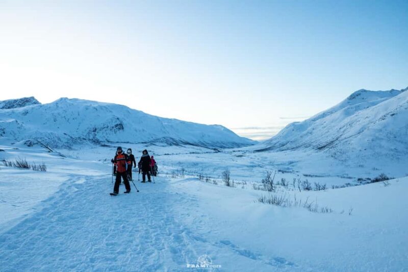 Arctic hike on Kvaløya Island with drinks and snacks - Discover the Arctic Wilderness on Kvaløya Island with Snowshoeing and Snacks