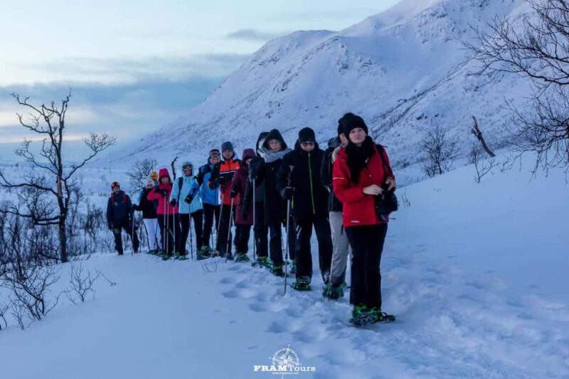 Arctic hike on Kvaløya Island with drinks and snacks - Key Points
