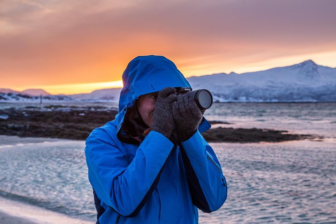 Arctic Nature Tour from Tromsø by minibus - Key Points