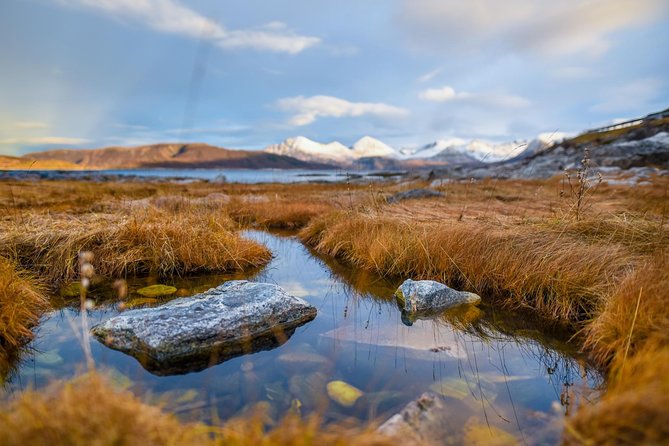 Arctic Nature Tour from Tromsø by minibus - Wildlife and Scenic Spotting Opportunities
