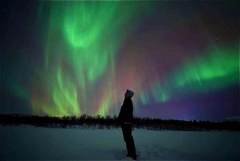 Arctic Northern Lights Escape with Fire BBQ & Expert Guide - Key Points