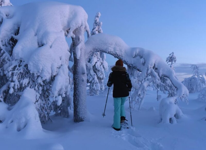 Arctic Reindeer Farm Experience with Snowshoeing in the Wild - Discover an Authentic Arctic Adventure in Lapland for $215