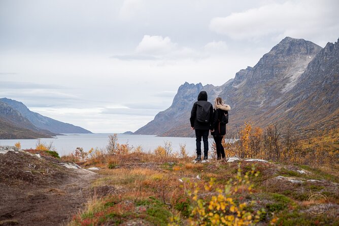 Arctic Roadtrip: fjords with scenic picnic | Private - Key Points