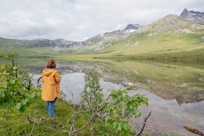 Arctic Roadtrip: fjords with scenic picnic | Private - Who Will Enjoy This Arctic Roadtrip?