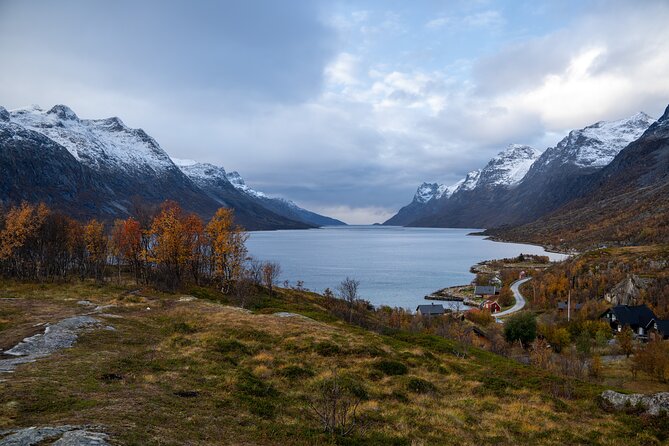 Arctic Roadtrip: fjords with scenic picnic | Sightseeing - Logistics: Meeting Point and Group Size