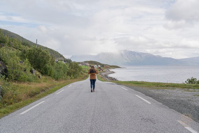 Arctic Roadtrip: fjords with scenic picnic | Sightseeing - Value for Money: A Well-Balanced Package