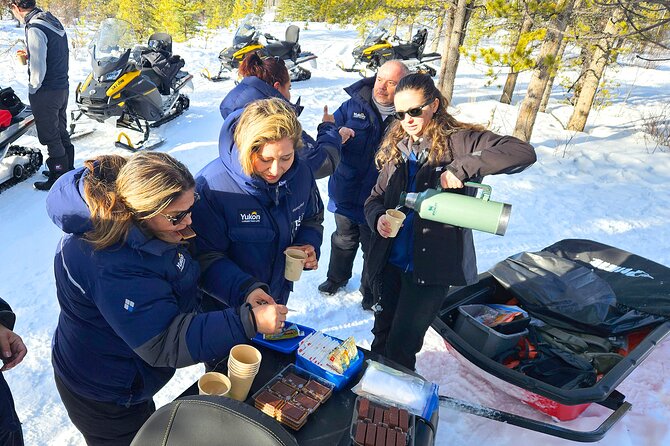 Arctic Snowmobiling Half Day Tour - Key Points