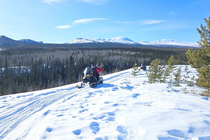 Arctic Snowmobiling Half Day Tour - Customizable Snowmobile Safari for Different Skill Levels