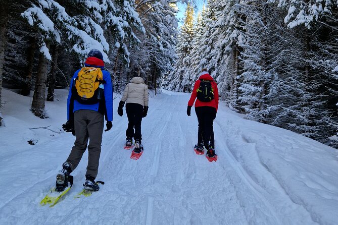 Arctic Snowshoe Hike in Norway - Safety and Comfort in Unpredictable Arctic Weather