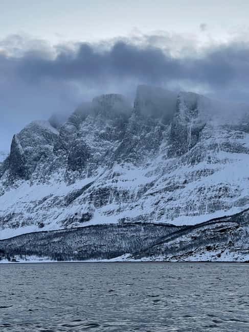 Arctic Whale Watching: Tromsø to Skjervøy in Comfort - Arctic Whale Watching: Skjervøy in Comfort - Final Thoughts