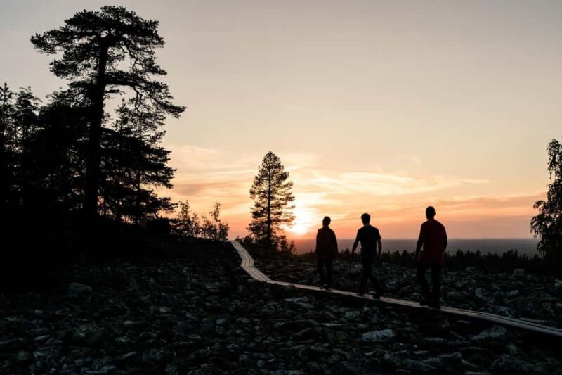 Arctic Wilderness Hike from Rovaniemi (Day & Evening) - The Scenic Route and Viewpoints