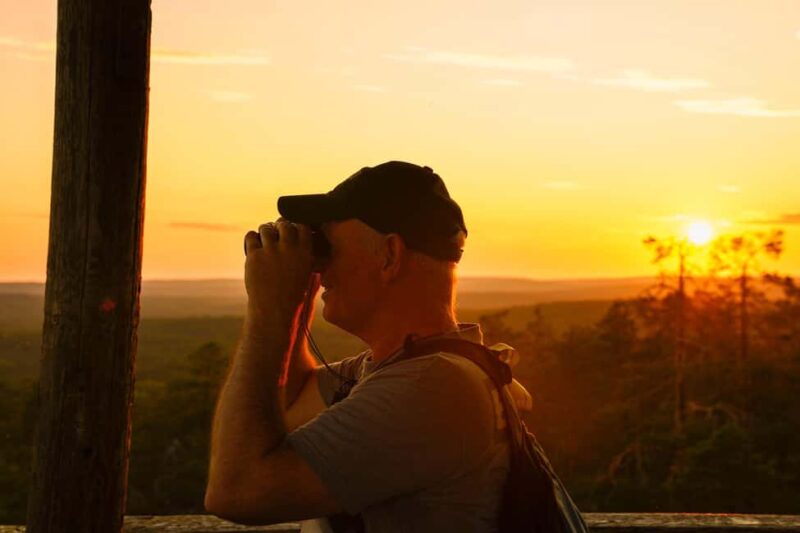 Arctic Wilderness Hike from Rovaniemi (Day & Evening) - Learning Survival Skills and Building Fires