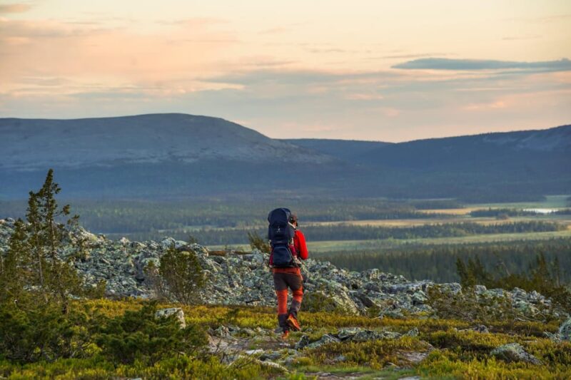 Arctic Wilderness Hike from Rovaniemi (Day & Evening) - Comparing this Tour to Other Arctic Experiences