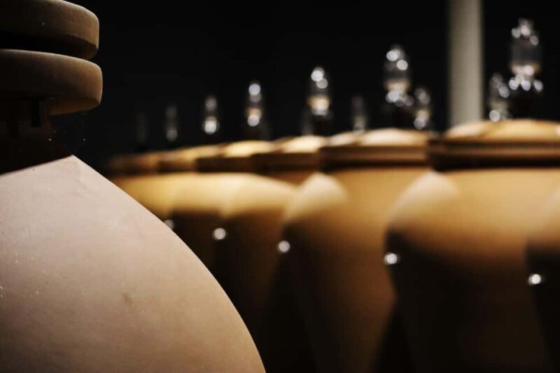 Ardèche: Cellar tour and tasting of our range - Discover the Unique Wines of Ardèche at Les Amoureuses