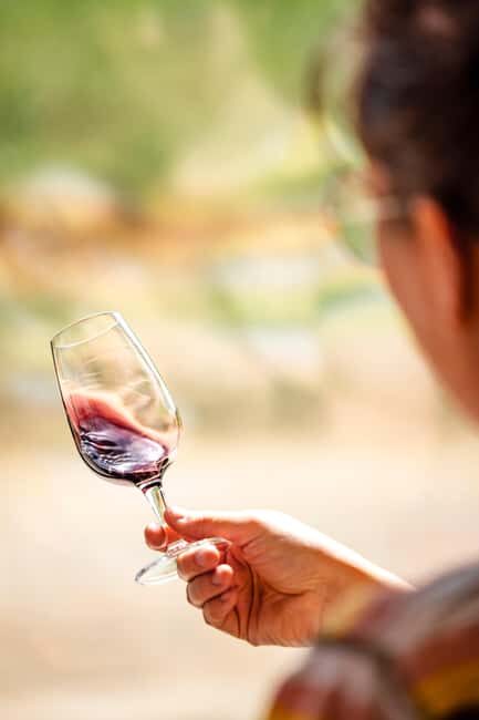 Ardèche: guided tour of our wine estate with tasting - Discover the Ardèche: A Guided Tour of the Wine Estate with Tasting