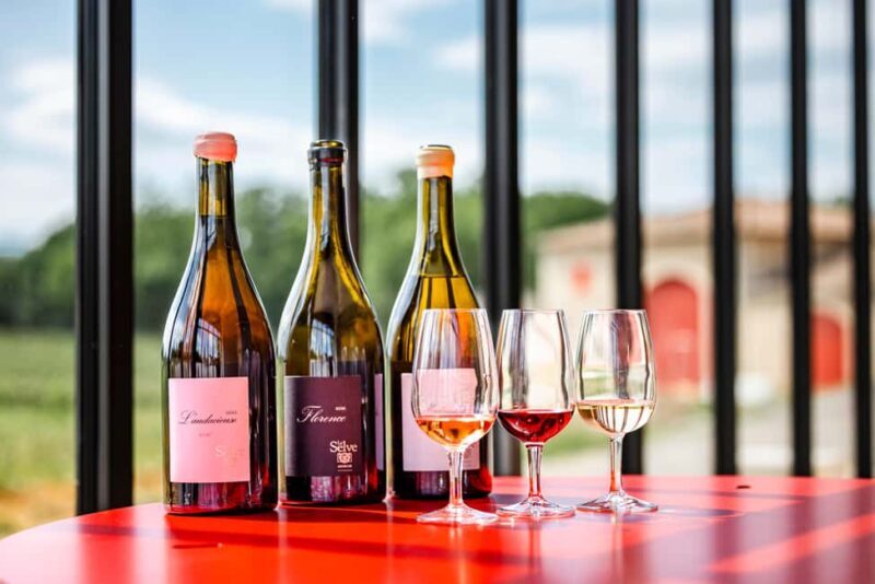 Ardèche: guided tour of our wine estate with tasting - Key Points