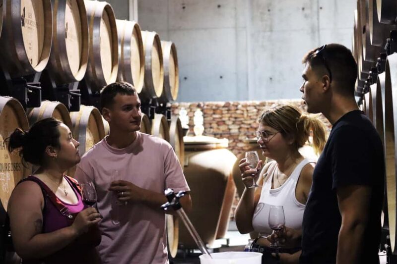 Ardèche: Tour and tasting of wines aged in amphorae and barrels - Key Points