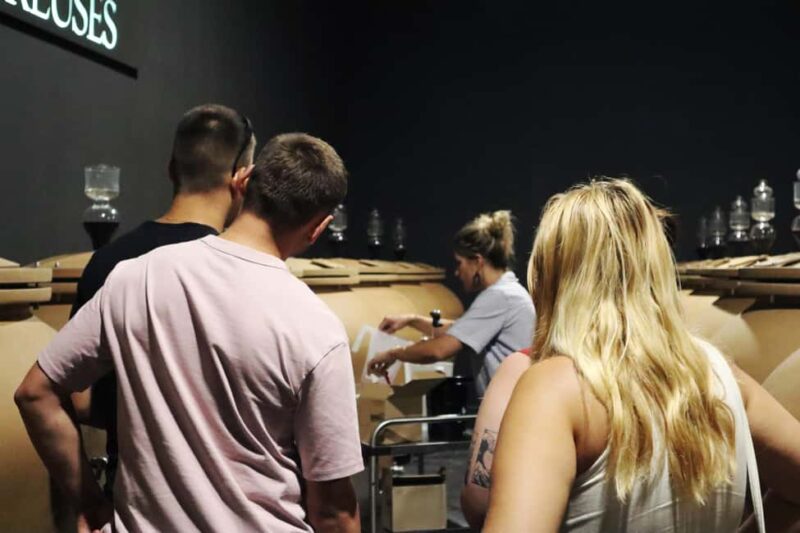 Ardèche: Tour and tasting of wines aged in amphorae and barrels - Discovering the Secrets of Amphora and Barrel Aging