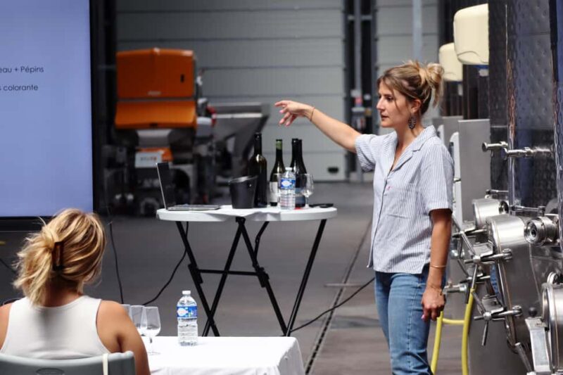 Ardèche: Tour and tasting of wines aged in amphorae and barrels - Tasting 15 Estate Wines in a Guided Setting